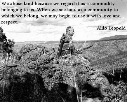 wisdom from Aldo